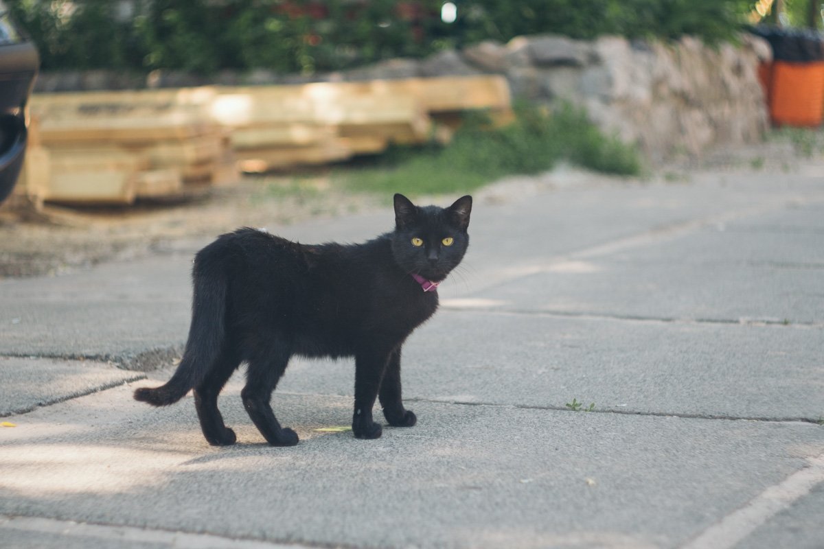 Пляж “Предмостная Слободка” - живописное и тихое место для отдыха. Необходимо учитывать его особенности - на пляже не всегда чисто, также на пляже не принято шуметь