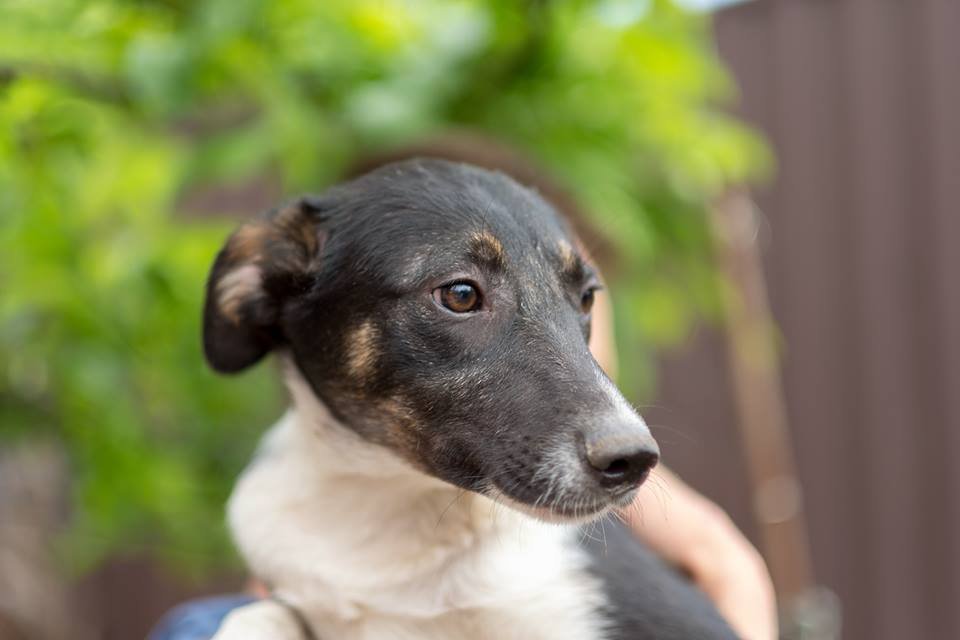 Малышка Грета ждет именно вас! Малышка Грета ждет именно вас!