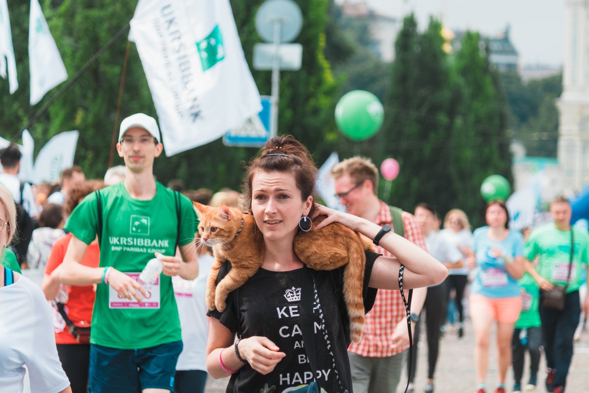 В забеге участвовал кот. Правда, награду ему не дали