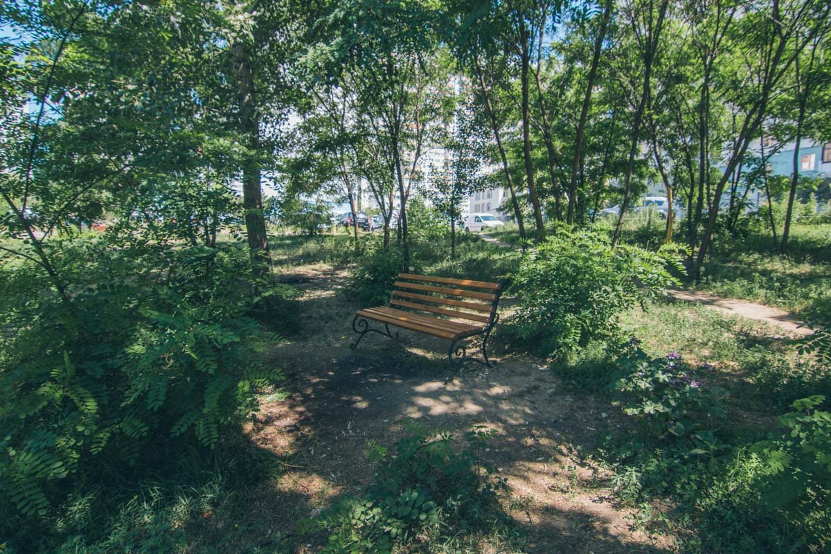 Скамейки поставили, а дорожек как не было, так и нет Скамейки поставили, а дорожек как не было, так и нет