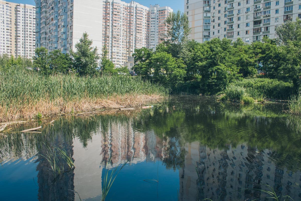 Озеро Улий находится в самом сердце жилмассива