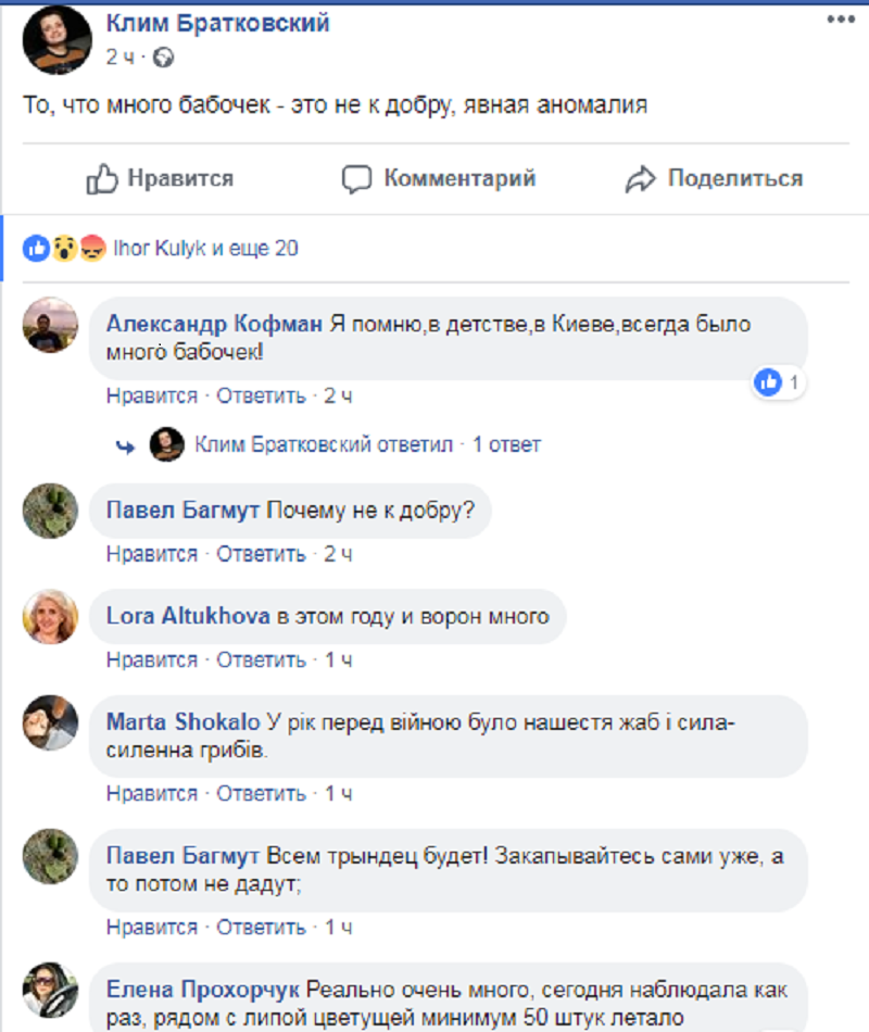 Киев заполонили бабочки: явление бурно обсуждают в соцсетях 2