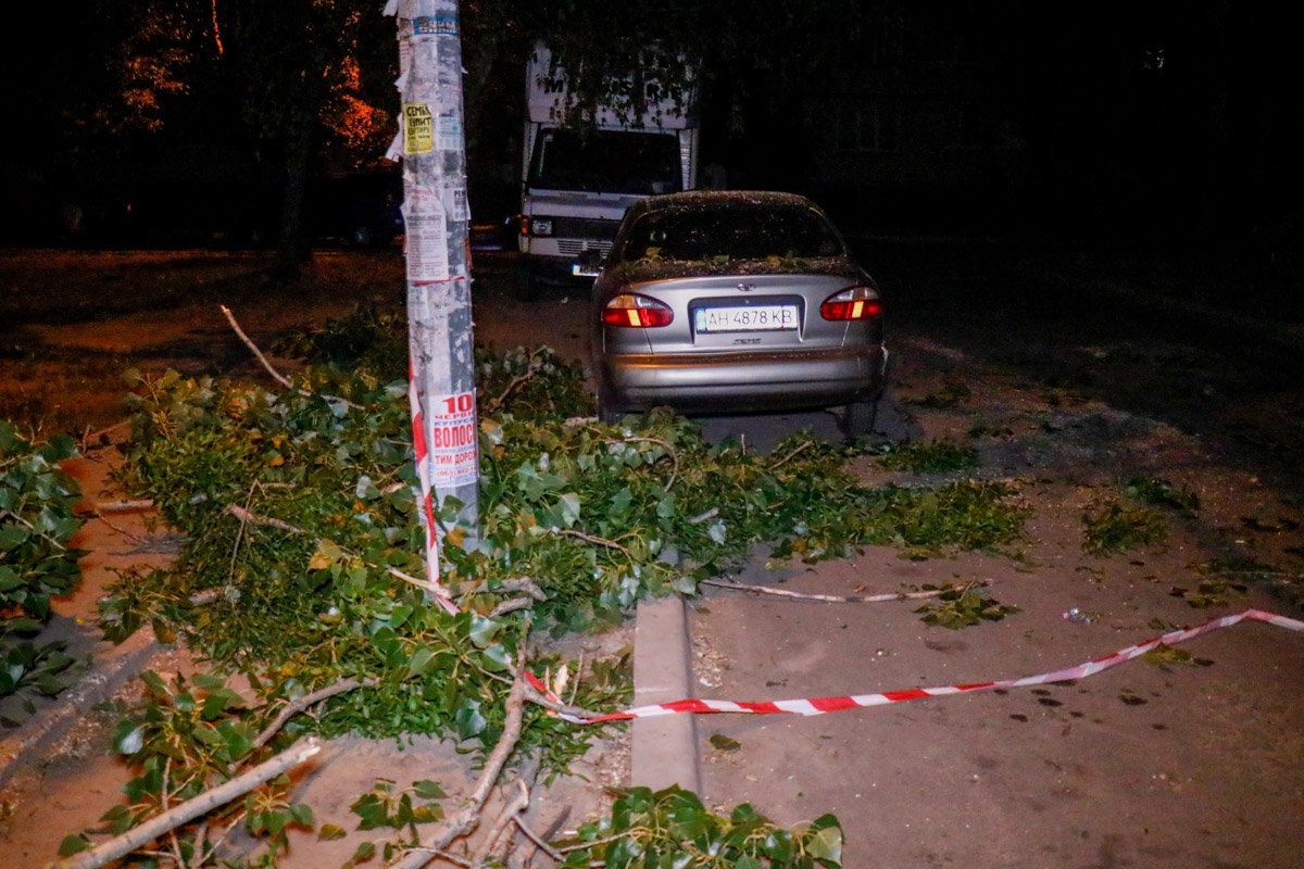 На улице Жолудева во дворе жилого дома с дерева упали ветки