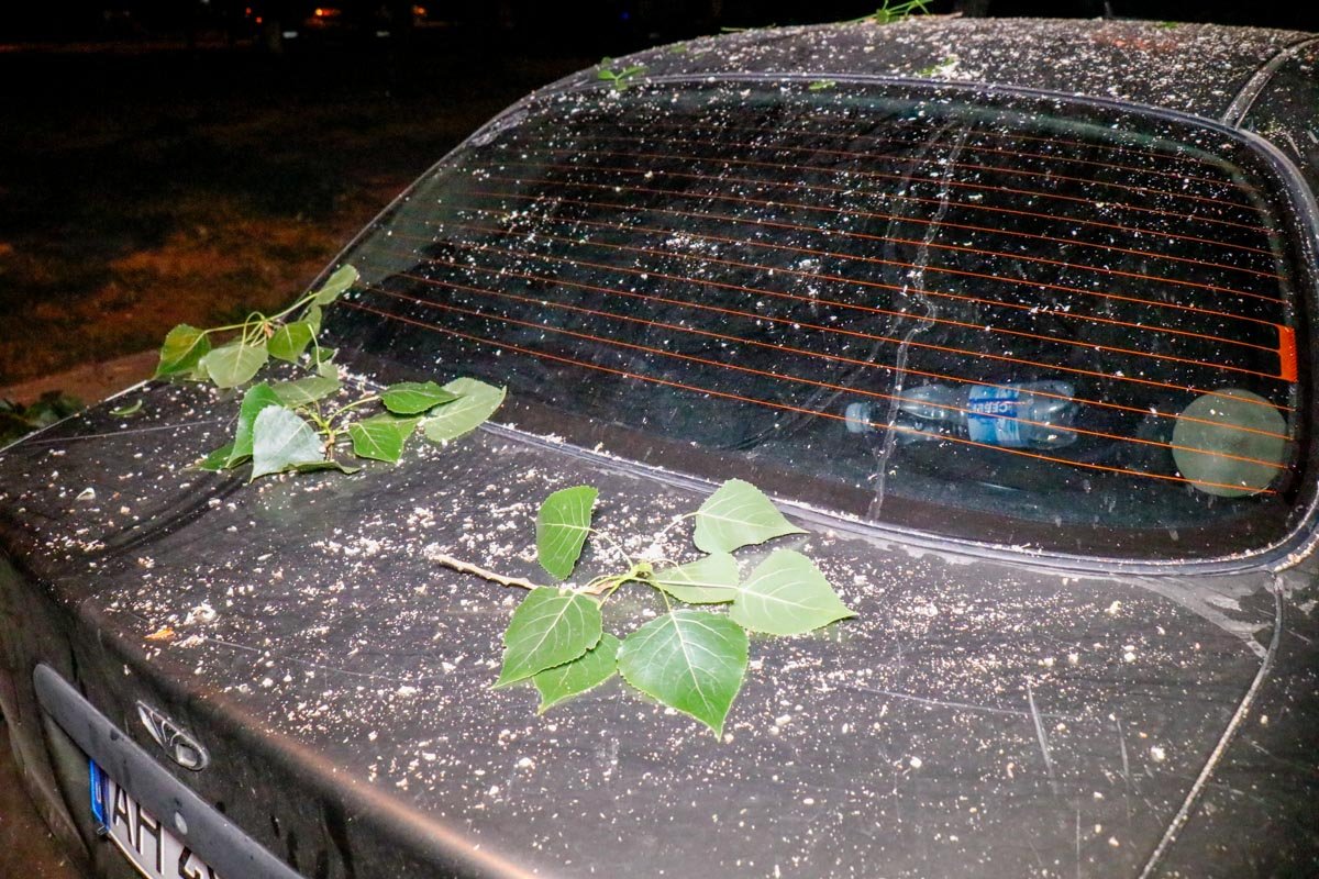 В основном автомобиль только поцарапало и немного подмяло кузов