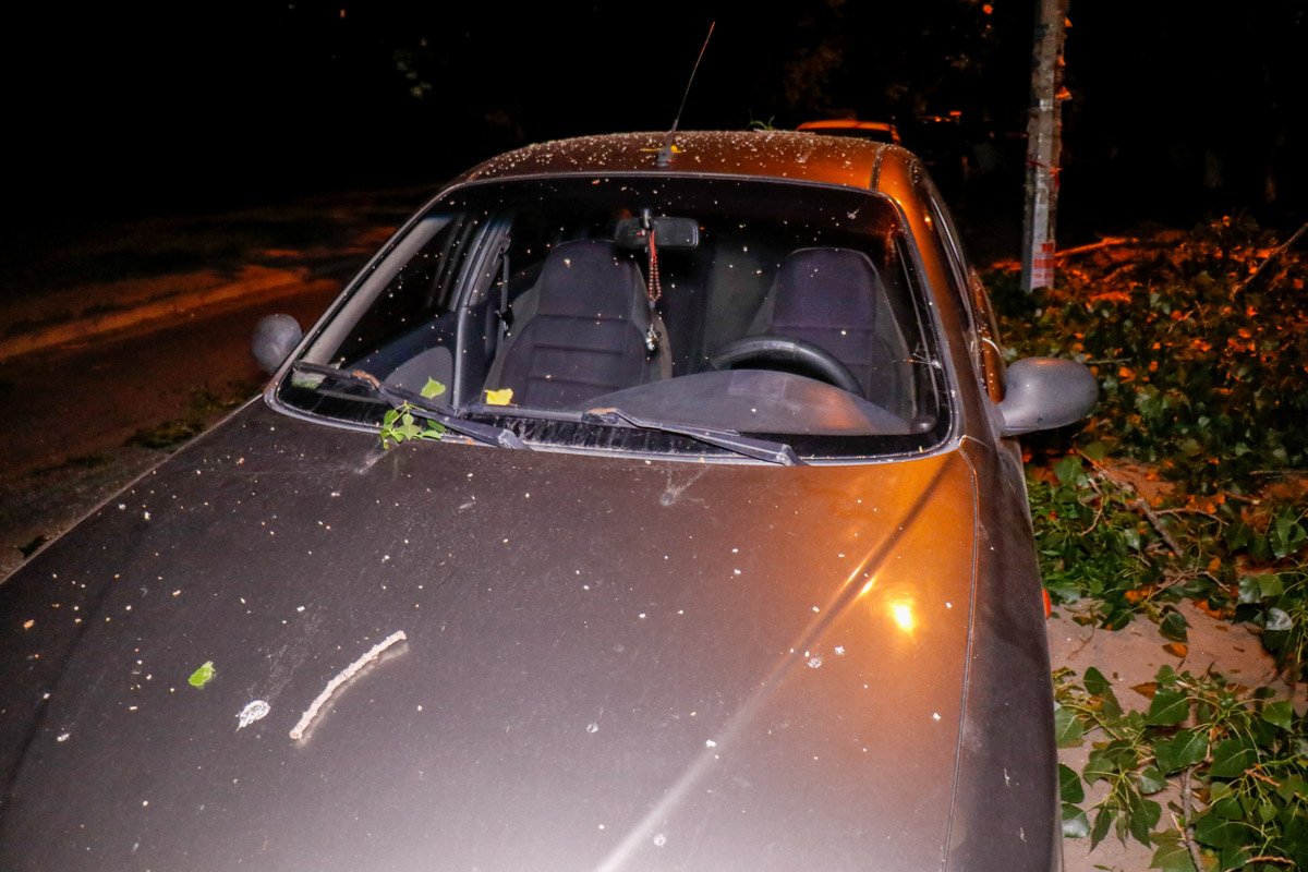 Коммунальные службы распилили ветки и освободили проезд