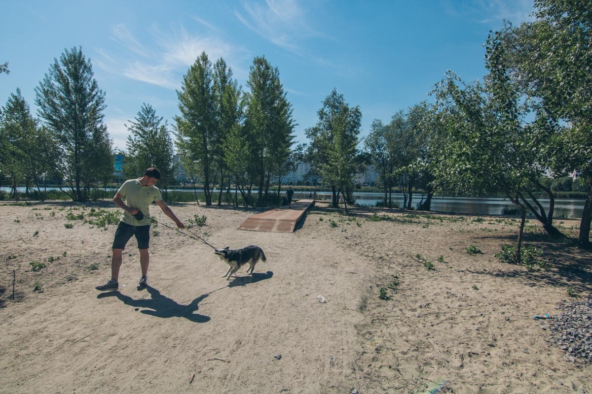 Отличная зона для выгула питомцев 