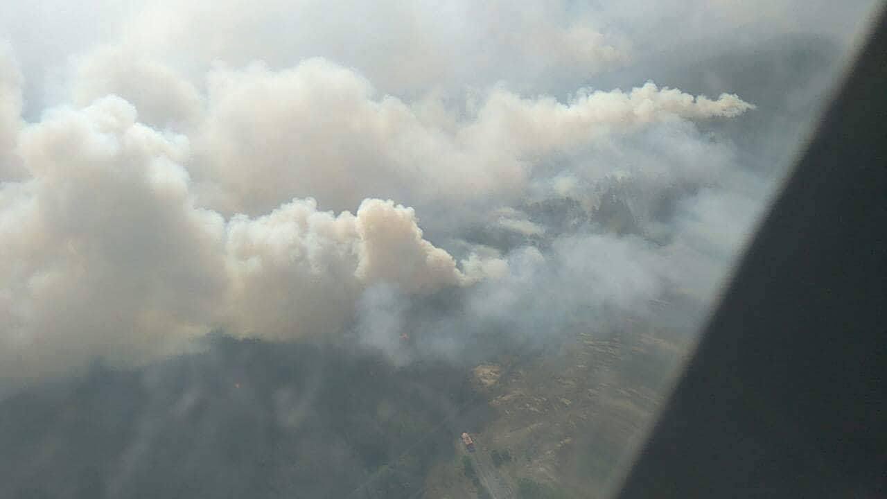 Площадь возгорания - 10 гектаров леса
