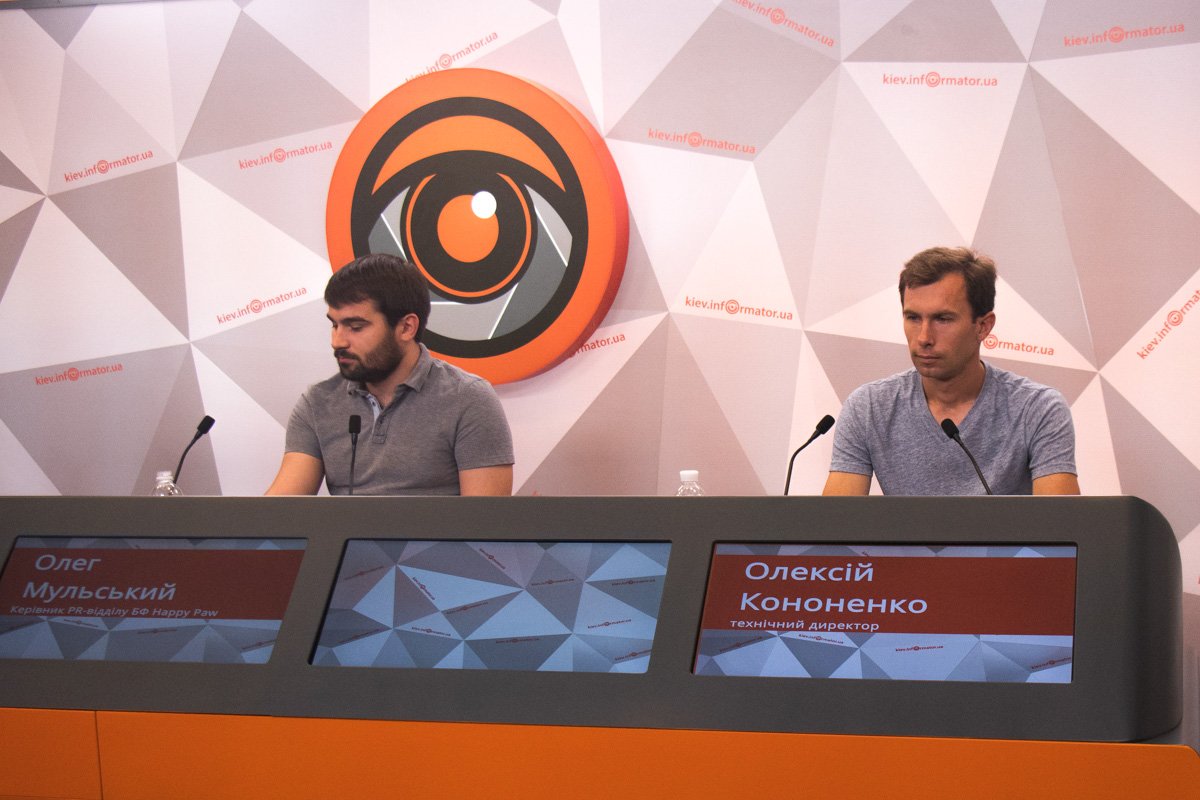 Организаторы устраивают масштабный "Забег с собаками", на который может прийти каждый желающий