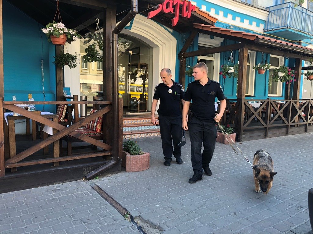 Специалисты с собаками ищут взрывчатку