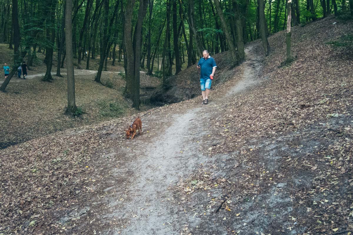 Видимо, тропинка здесь так и не станет дорожкой