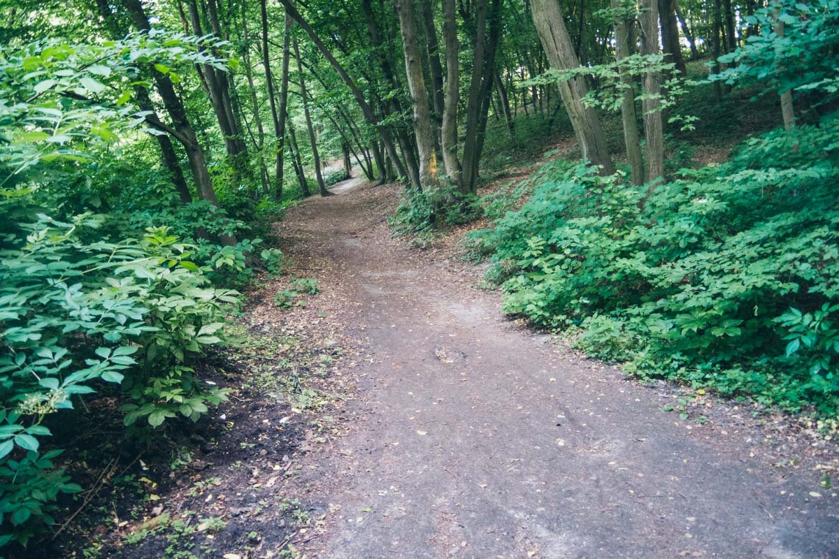 Особенно хорошо здесь в дождь