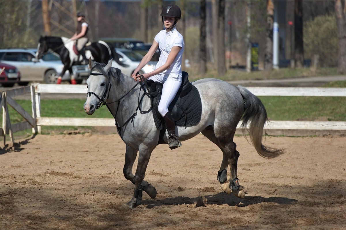 Школа верховой езды  "Аргамак» уже более 20 лет обучает киевлян верховой езде 