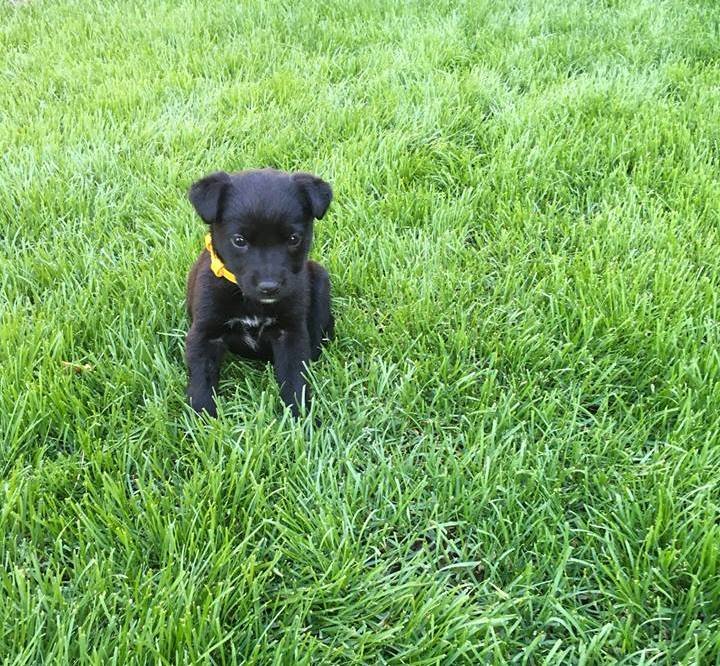 Подарите мне свою любовь! Подарите мне свою любовь!