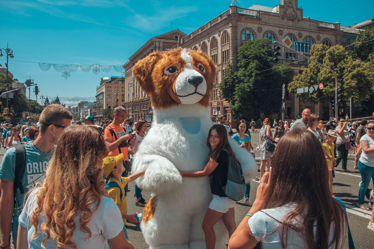 Необычайно большой песик 