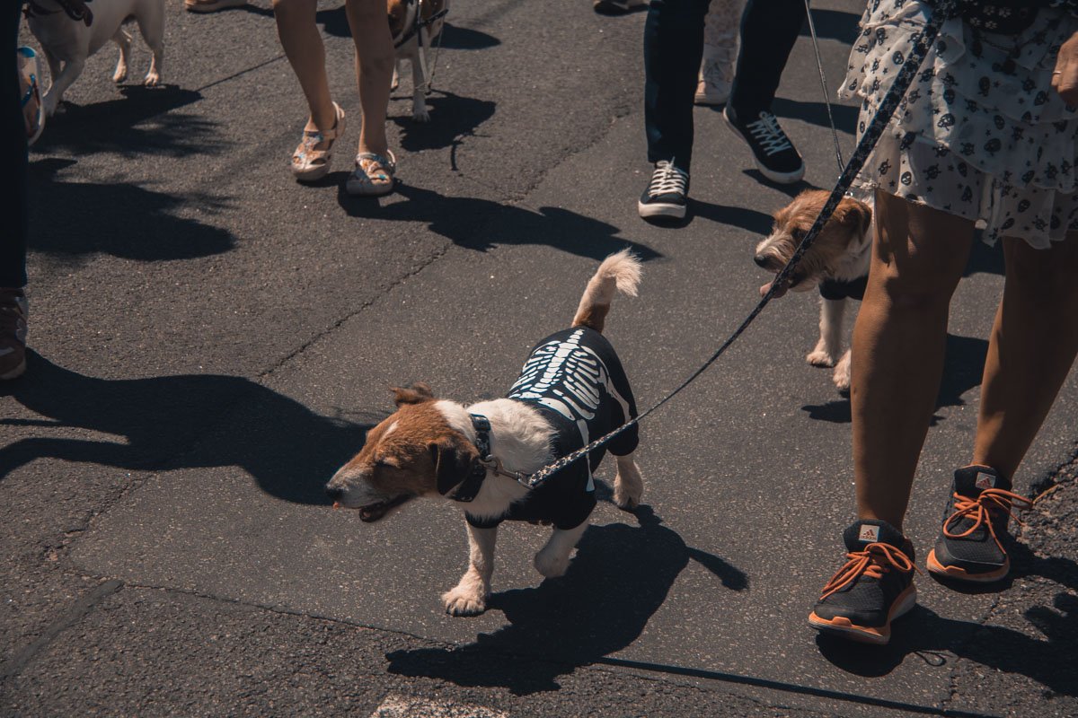Брутальный парень в рокерском наряде