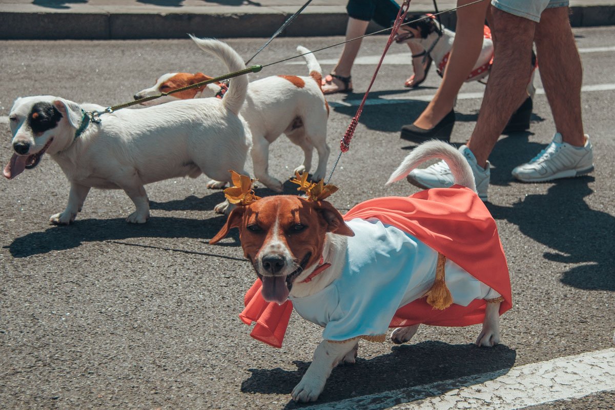 Интересно, что он умеет делать одновременно?
