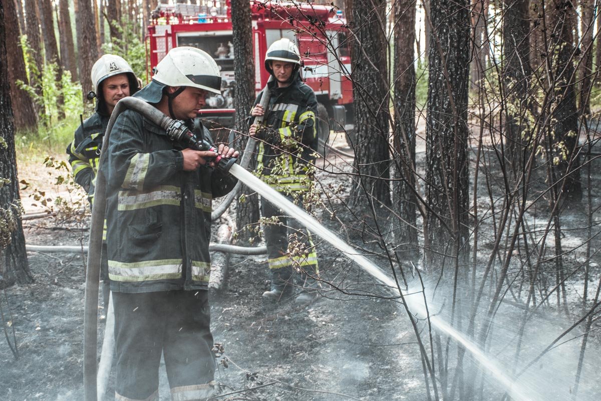 Тушить горящие насаждения приехали 2 подразделения ГСЧС