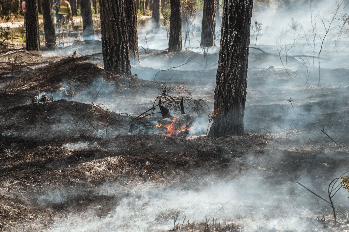 Огонь охватил площадь около 3 гектаров