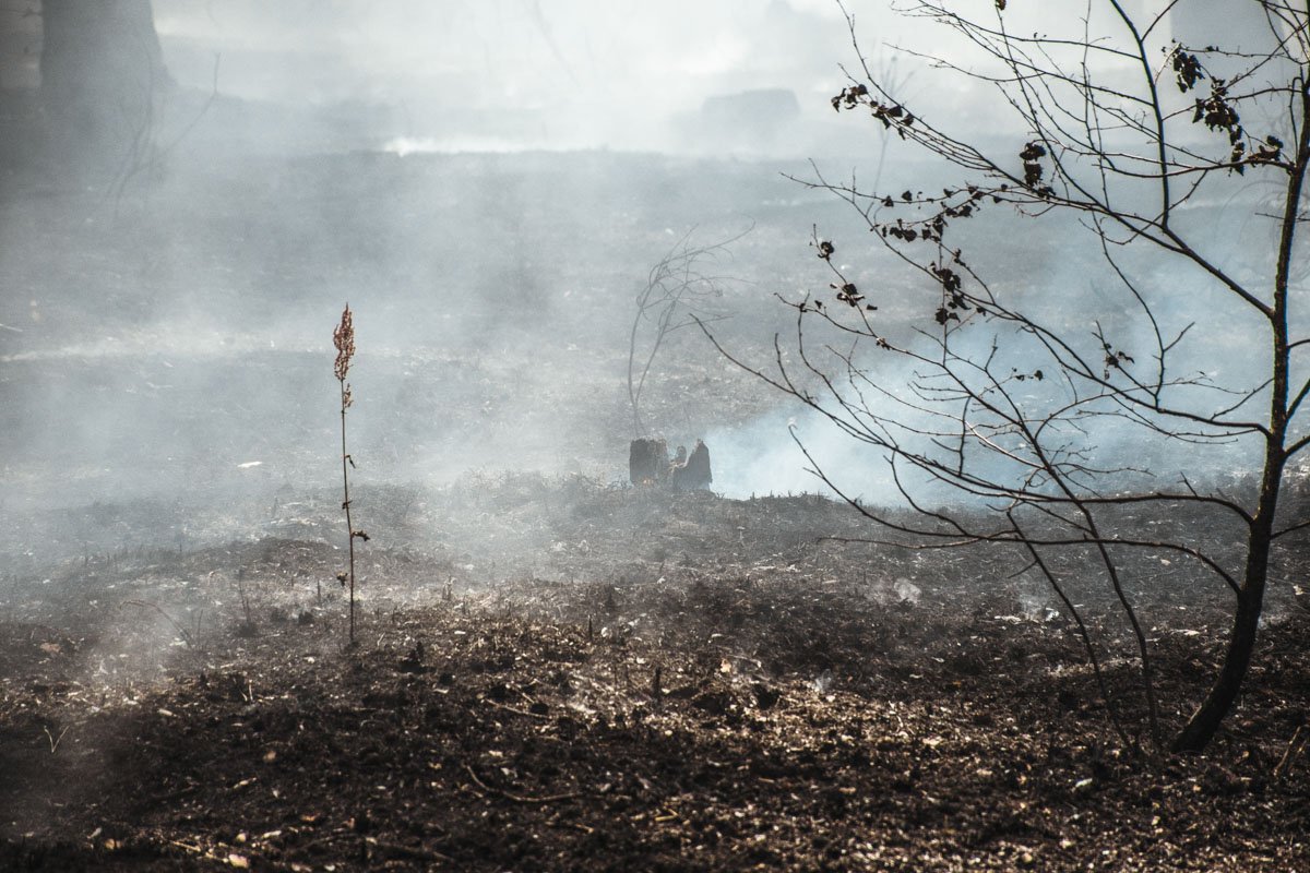 Так как продолжительное время не было дождей, горит около метра сухой лесной подстилки
