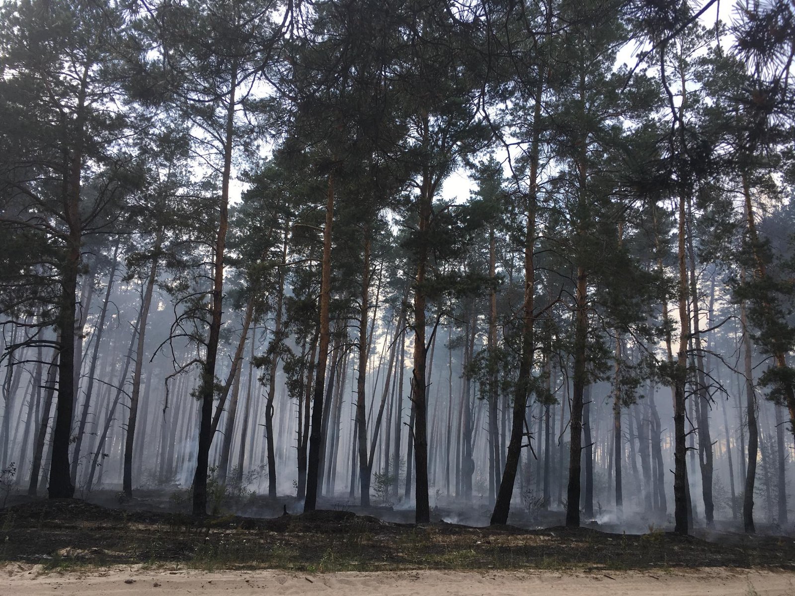 Пожарных вызвали в 14:18