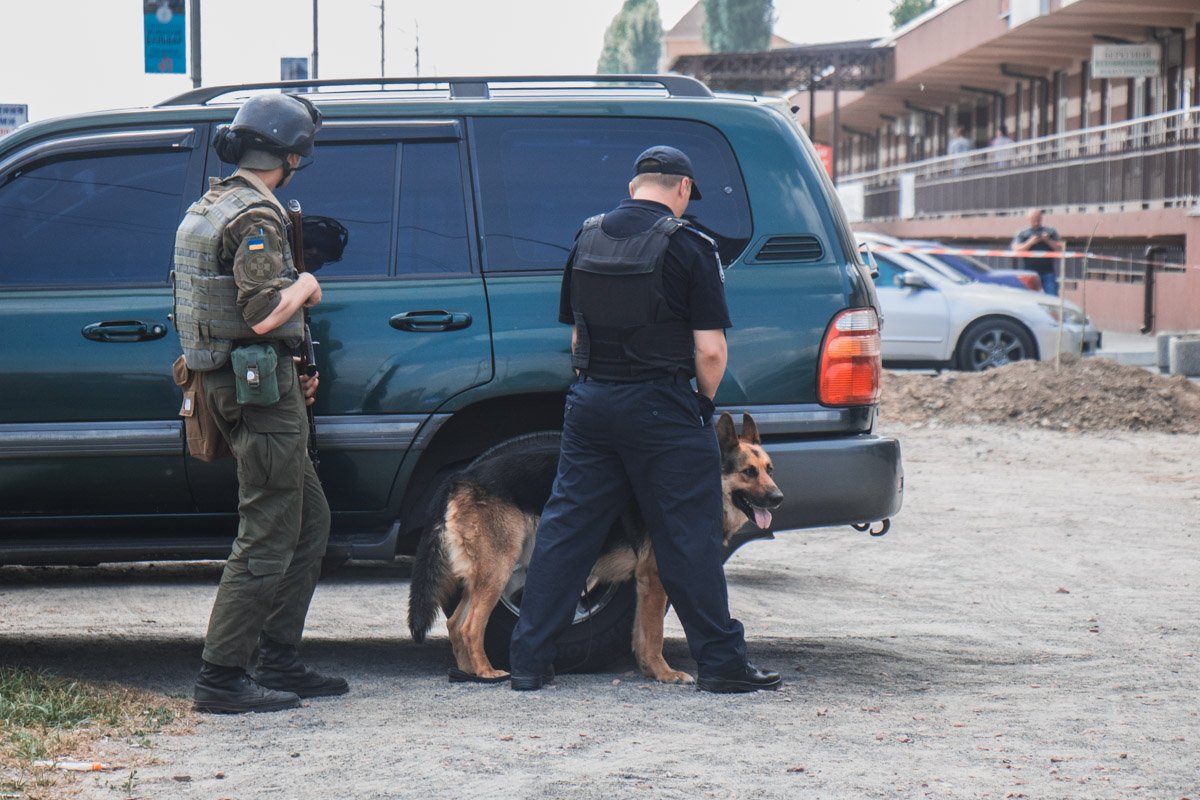 На место даже приехали кинологи