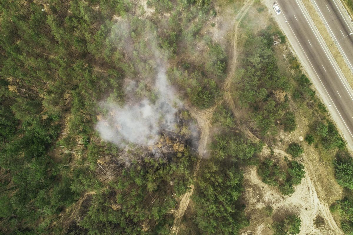 12 июня в Оболонском районе столицы горел лес поселка Водогон