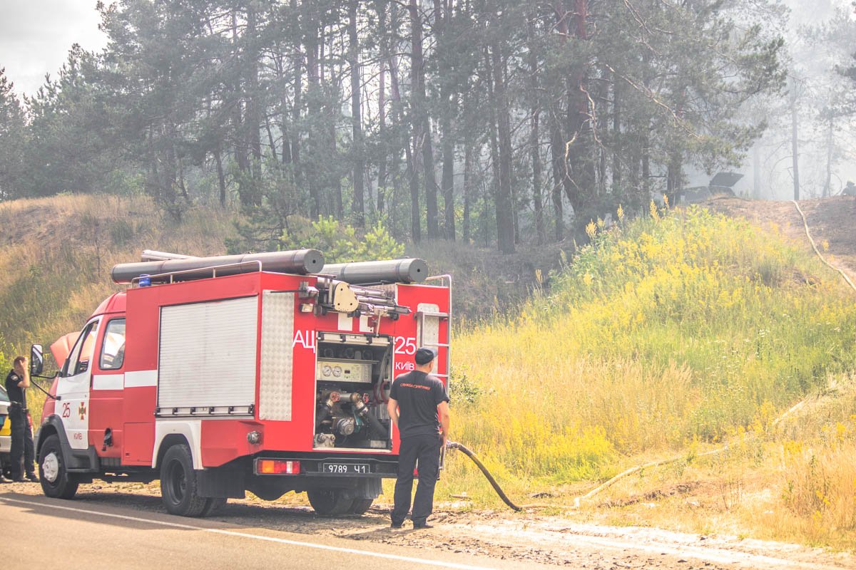 По прибытию спасателей было установлено, что горит травяной настил