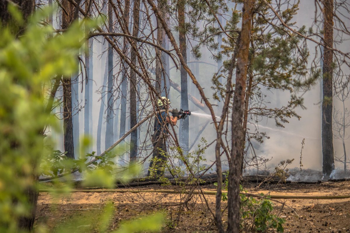 Пожарные сразу же приступили тушить пожар