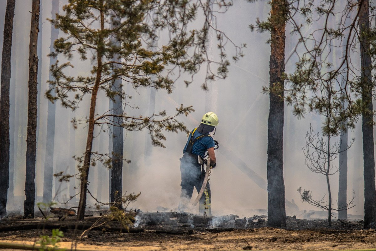 Причина возникновения пожара выясняется
