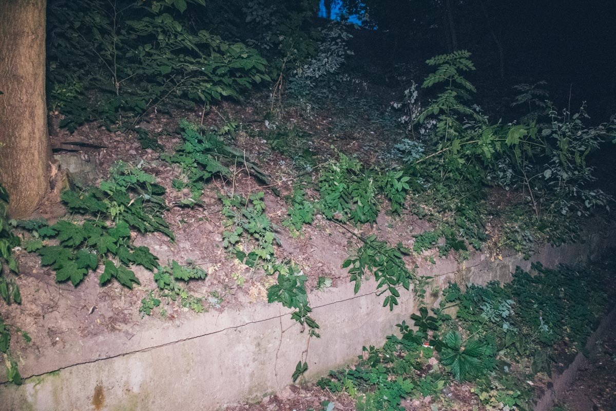 После этого машина заехала на бордюр