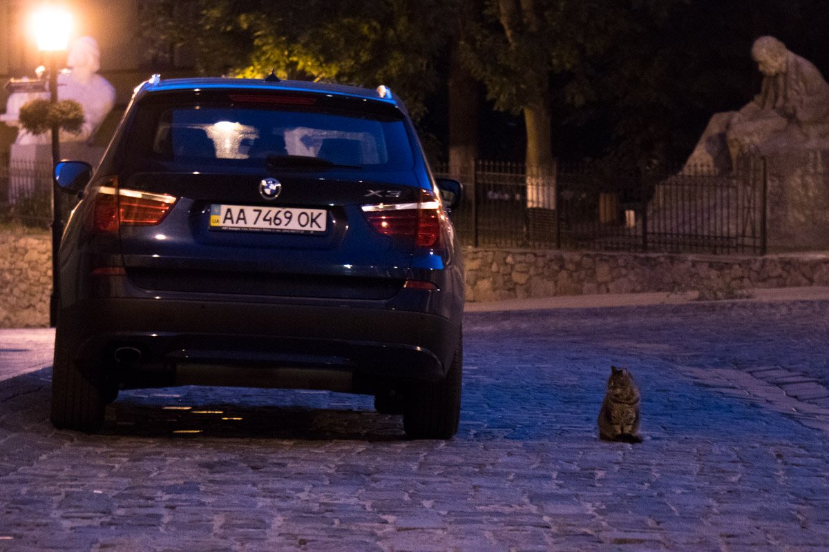 Где моя 9-я жизнь, а? Где моя 9-я жизнь, а?