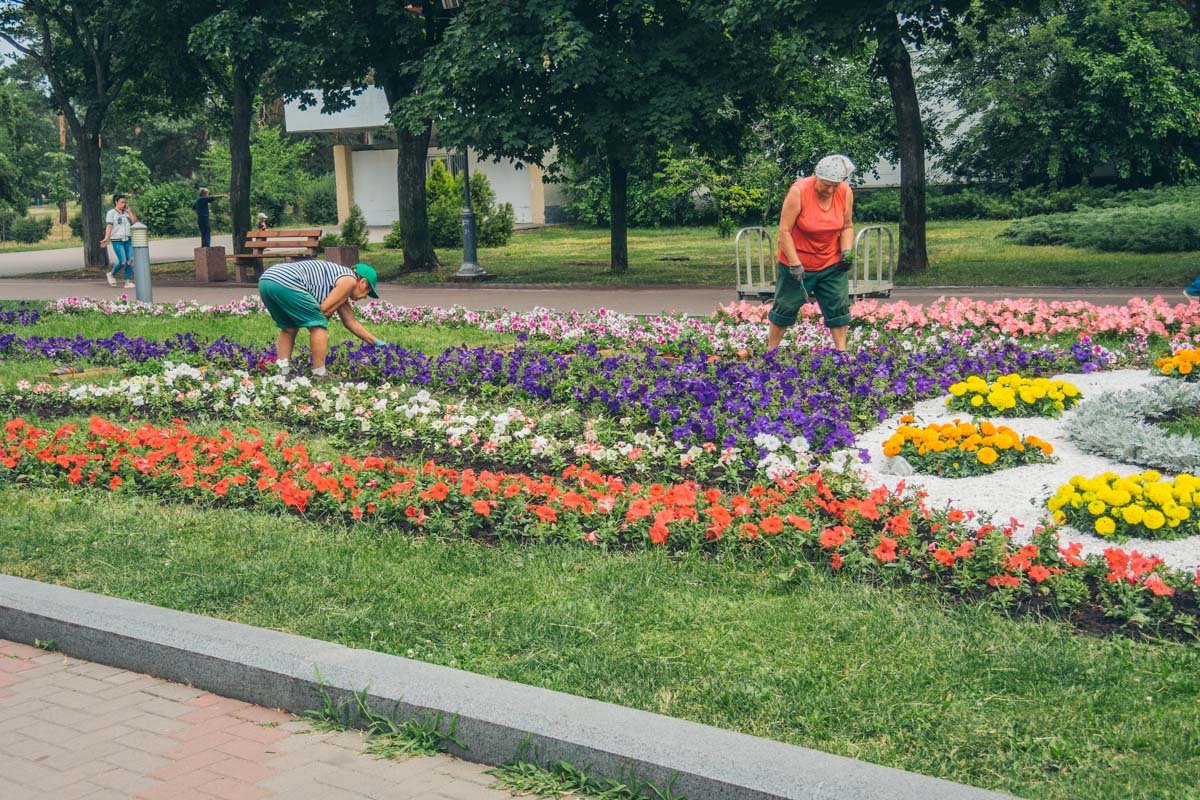 Коммунальщики озеленяют территорию Коммунальщики озеленяют территорию