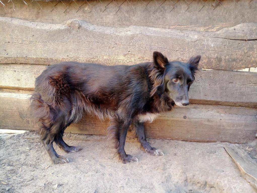 Возможно, именно вы подходите Багги? Возможно, именно вы подходите Багги?