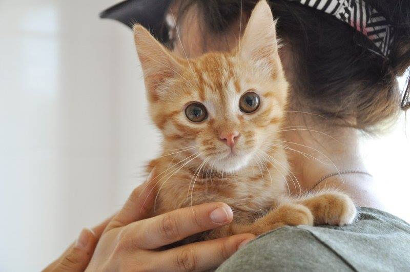 Эти глазки так и просят любви и заботы Эти глазки так и просят любви и заботы