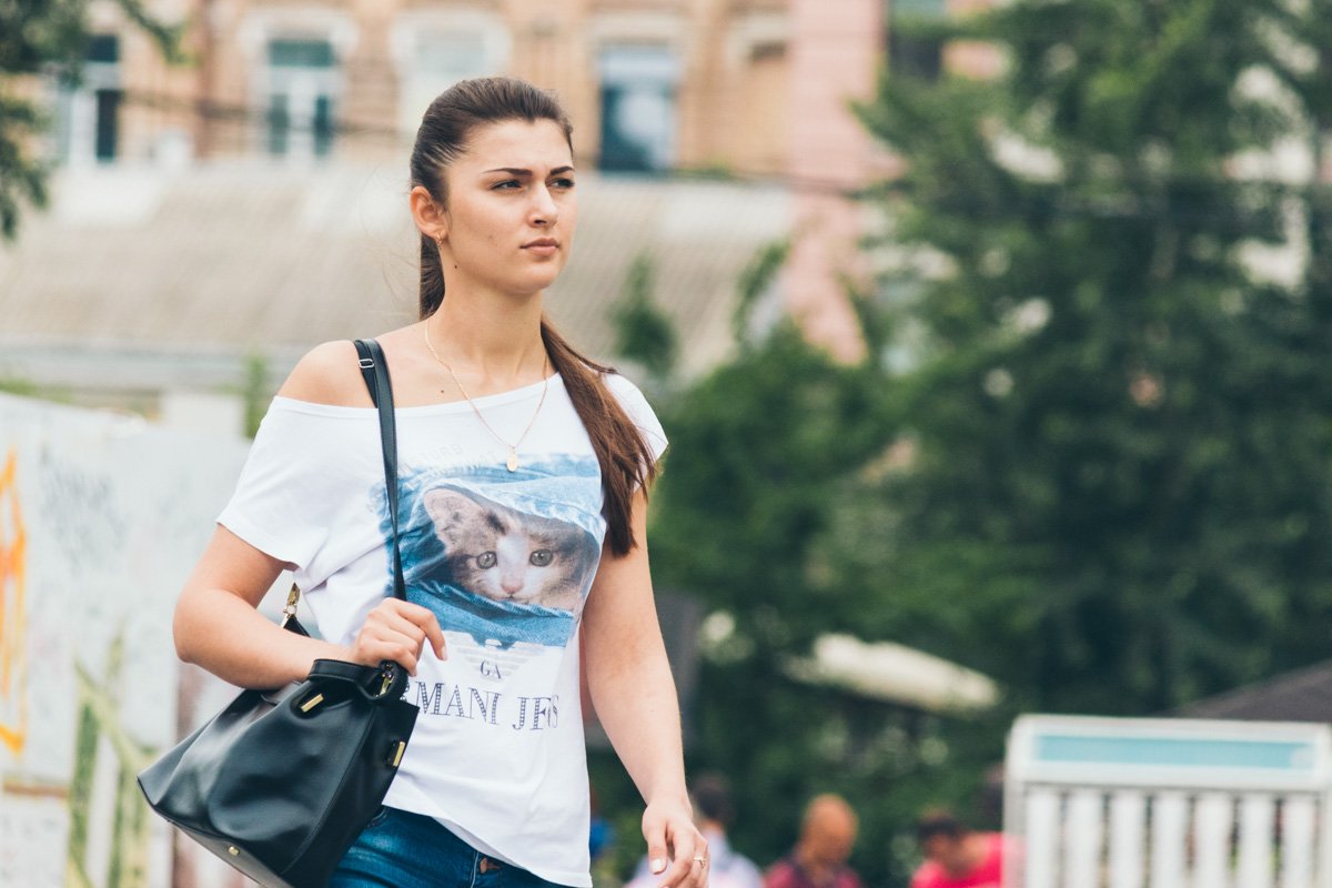 Даже самый строгий взгляд смягчит картинка котика Даже самый строгий взгляд смягчит картинка котика