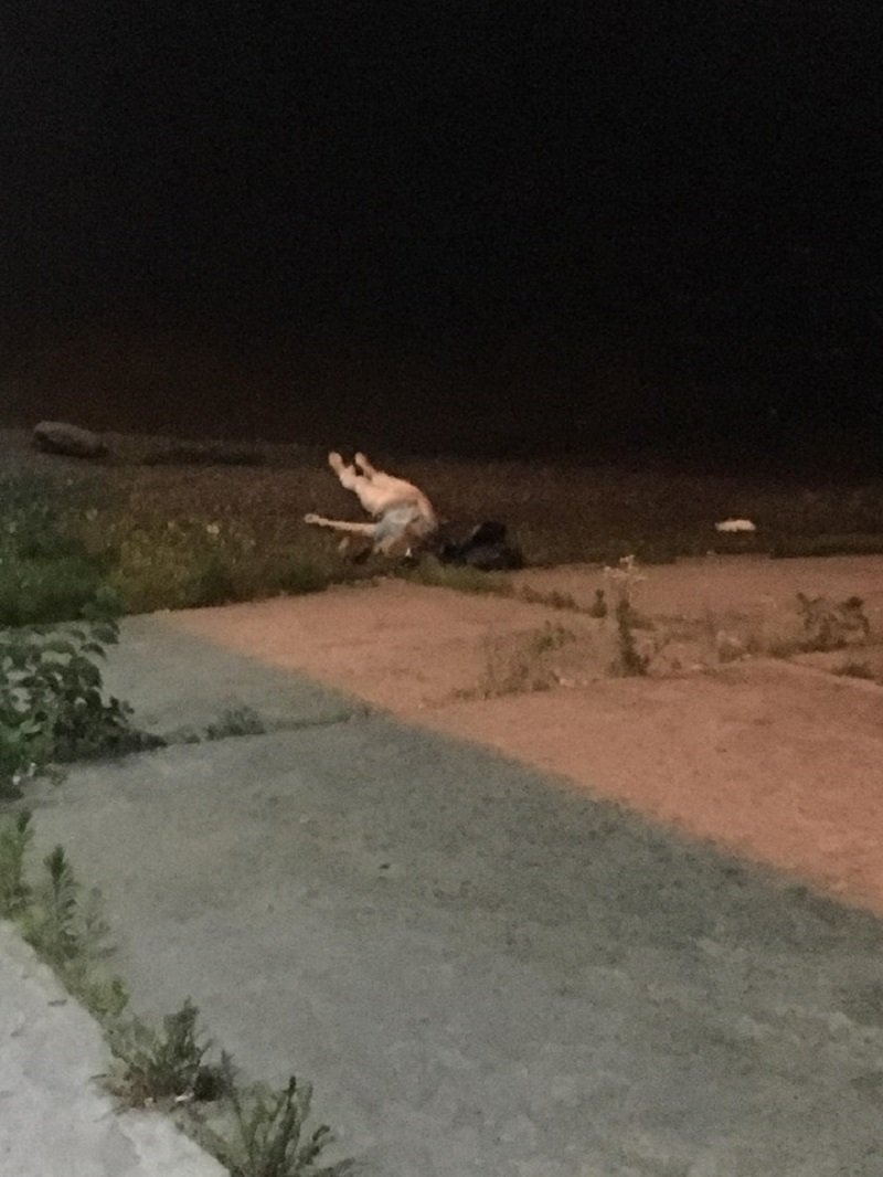  По предварительной информации, это могло быть самоубийство