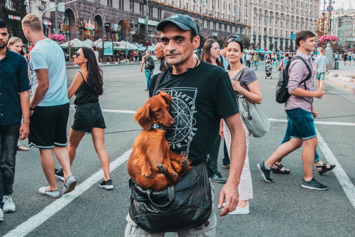 А вот собаке похоже жарко. Зато ей не приходится идти своим ходом