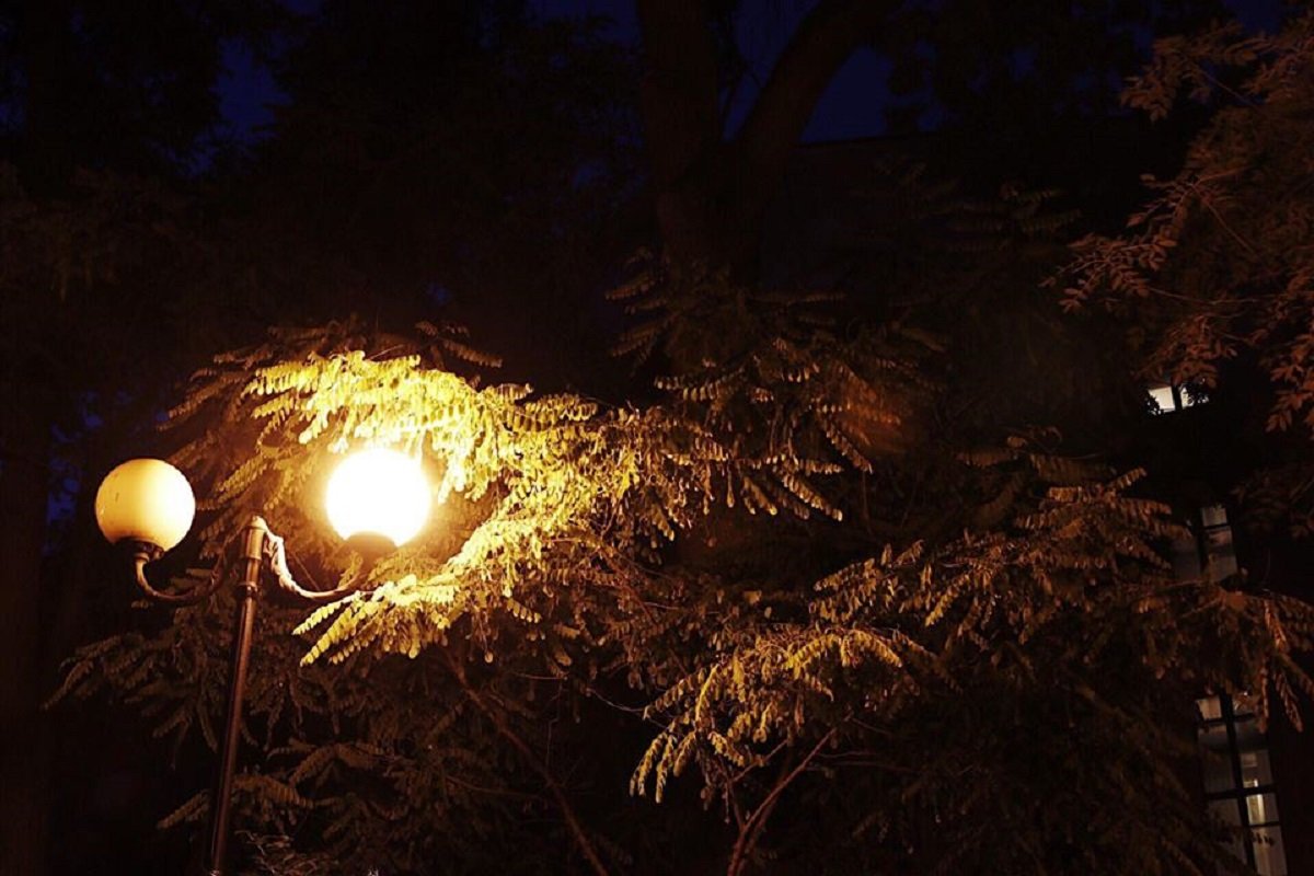 Ночью не все фонари успели зажечься Ночью не все фонари успели зажечься