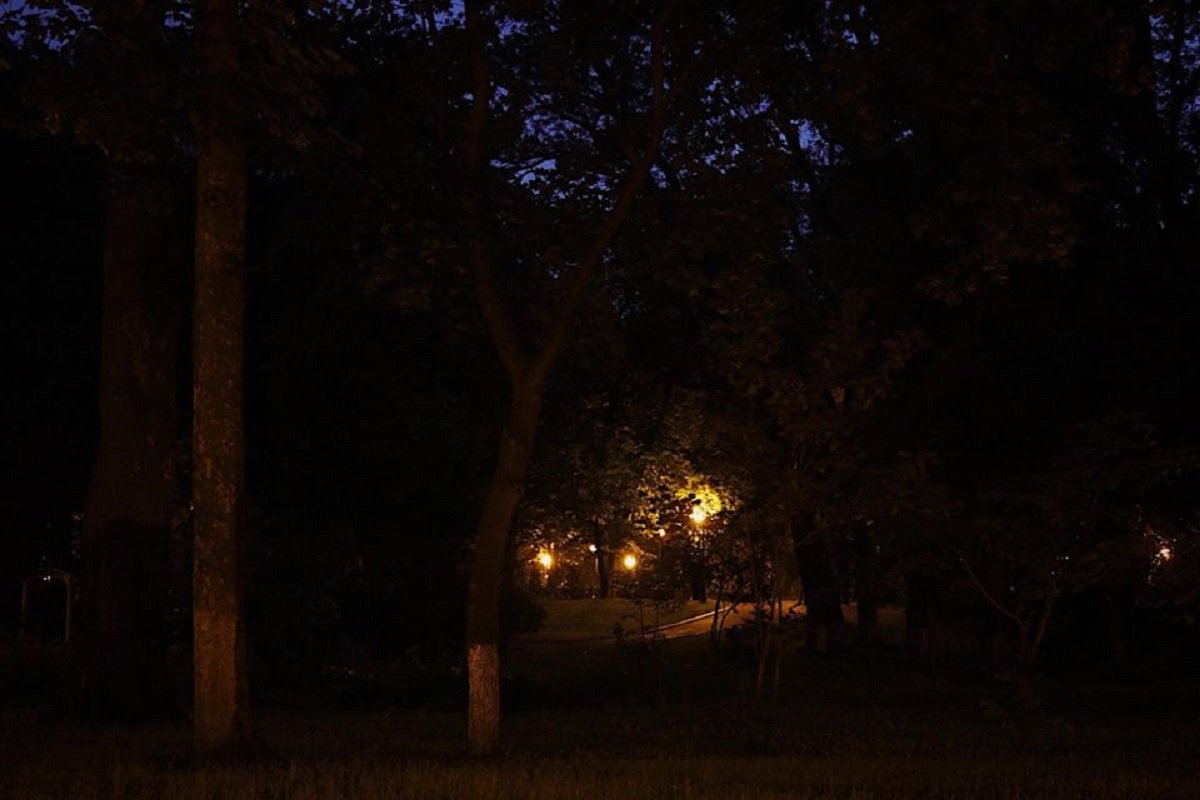 Тихий, тенистый, со старыми липами, кленами и каштанами парк является уникальным памятником паркового искусства прошлого Тихий, тенистый, со старыми липами, кленами и каштанами парк является уникальным памятником паркового искусства прошлого