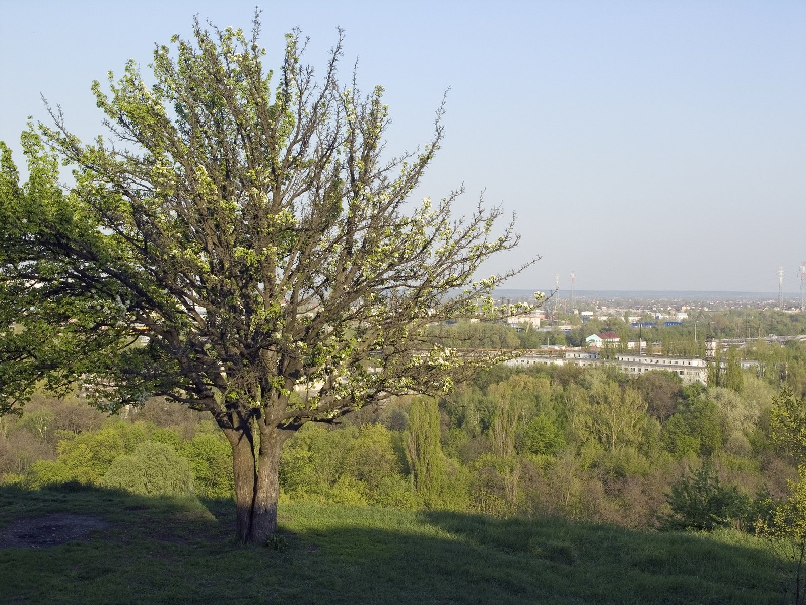 Лысая гора - отличное место для любителей мистики и красивых пейзажей