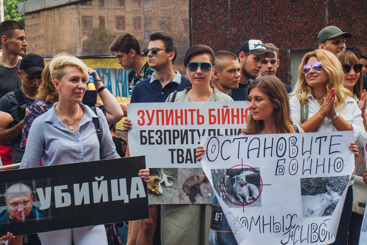 На акции собрались около сотни людей