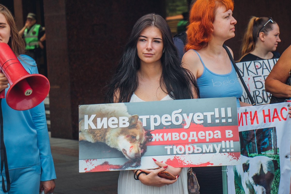 Зоозащитники требуют, чтобы живодера наказали по всей строгости закона