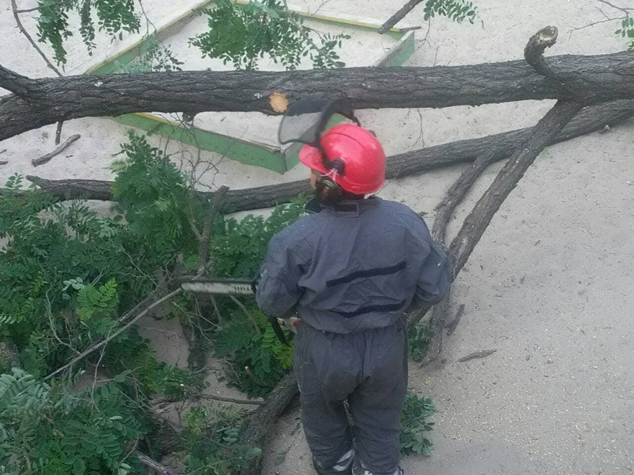 На место прибыли спасатели КГГА и убрали последствия происшествия. На место прибыли спасатели КГГА и убрали последствия происшествия.