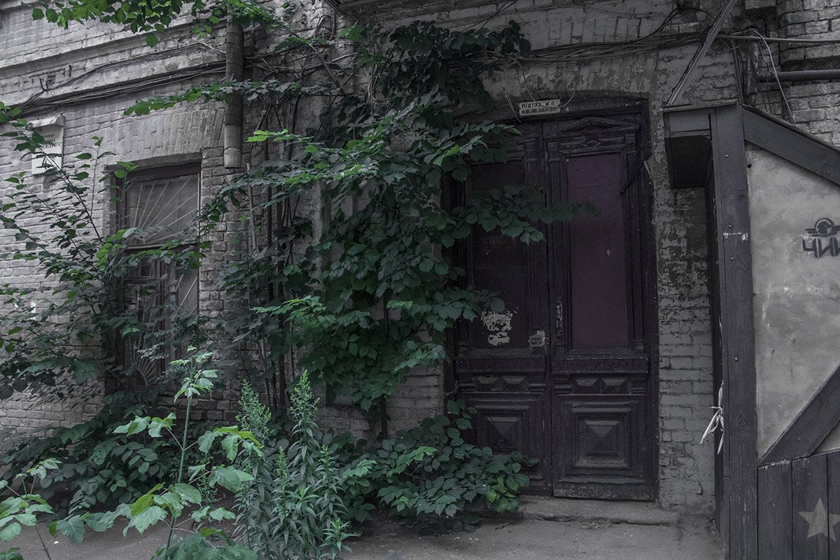 Природа обволакивает и берет свое