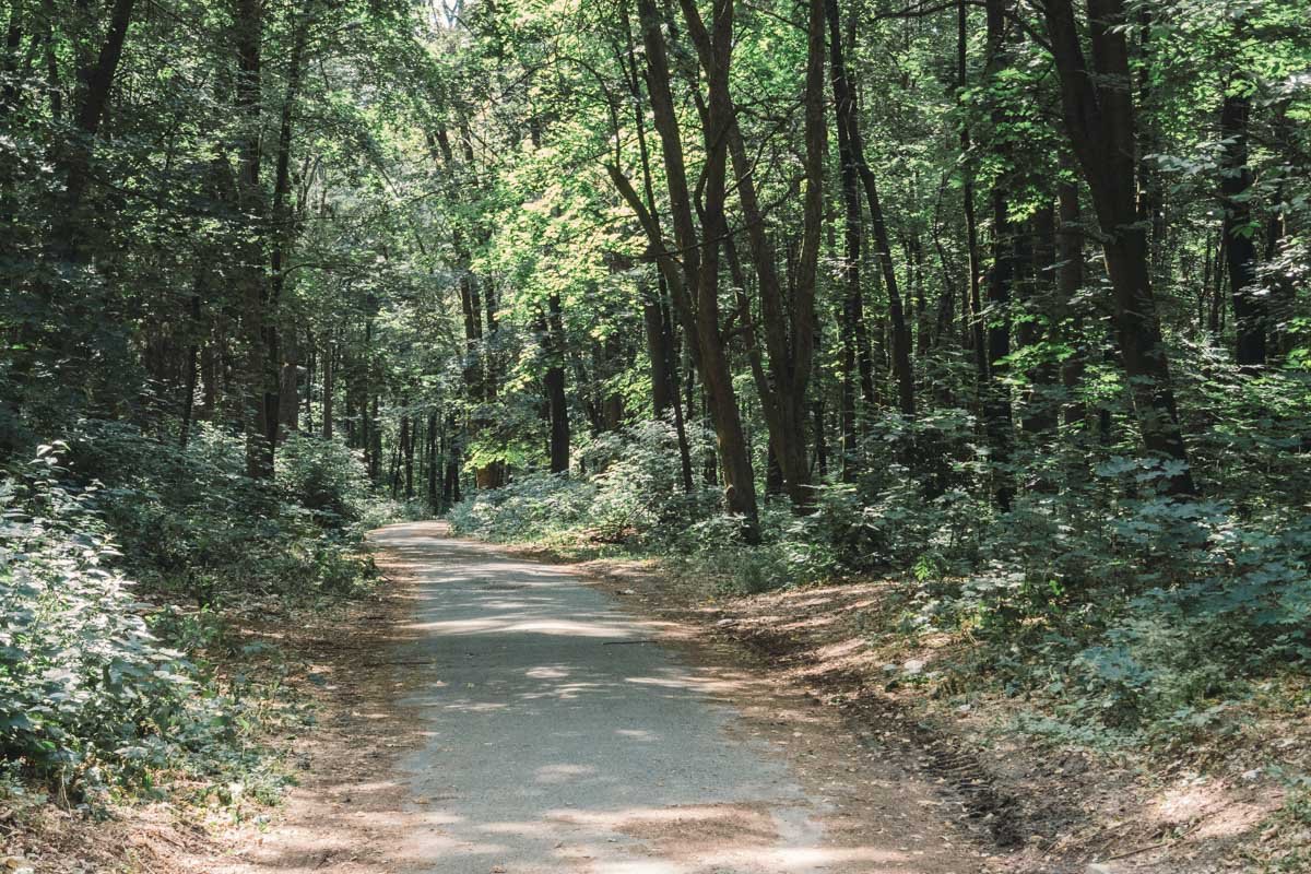 Тропы и велодорожки 