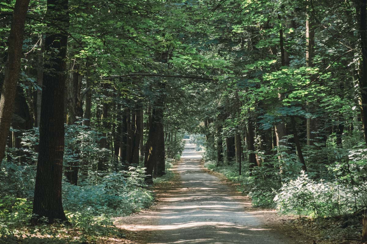 Уходящие в глубь тропы 