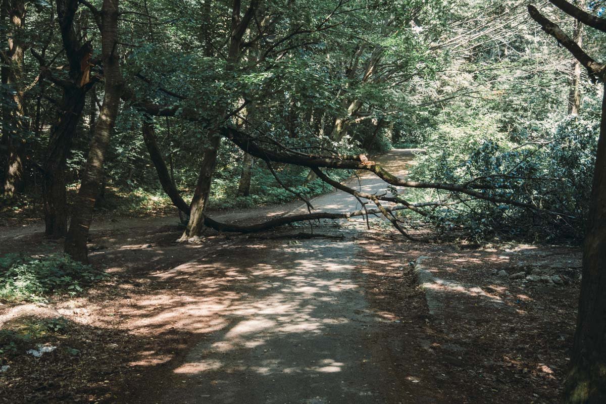 Препятствия 