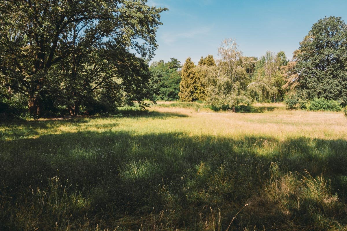 Полянка для зайчиков 
