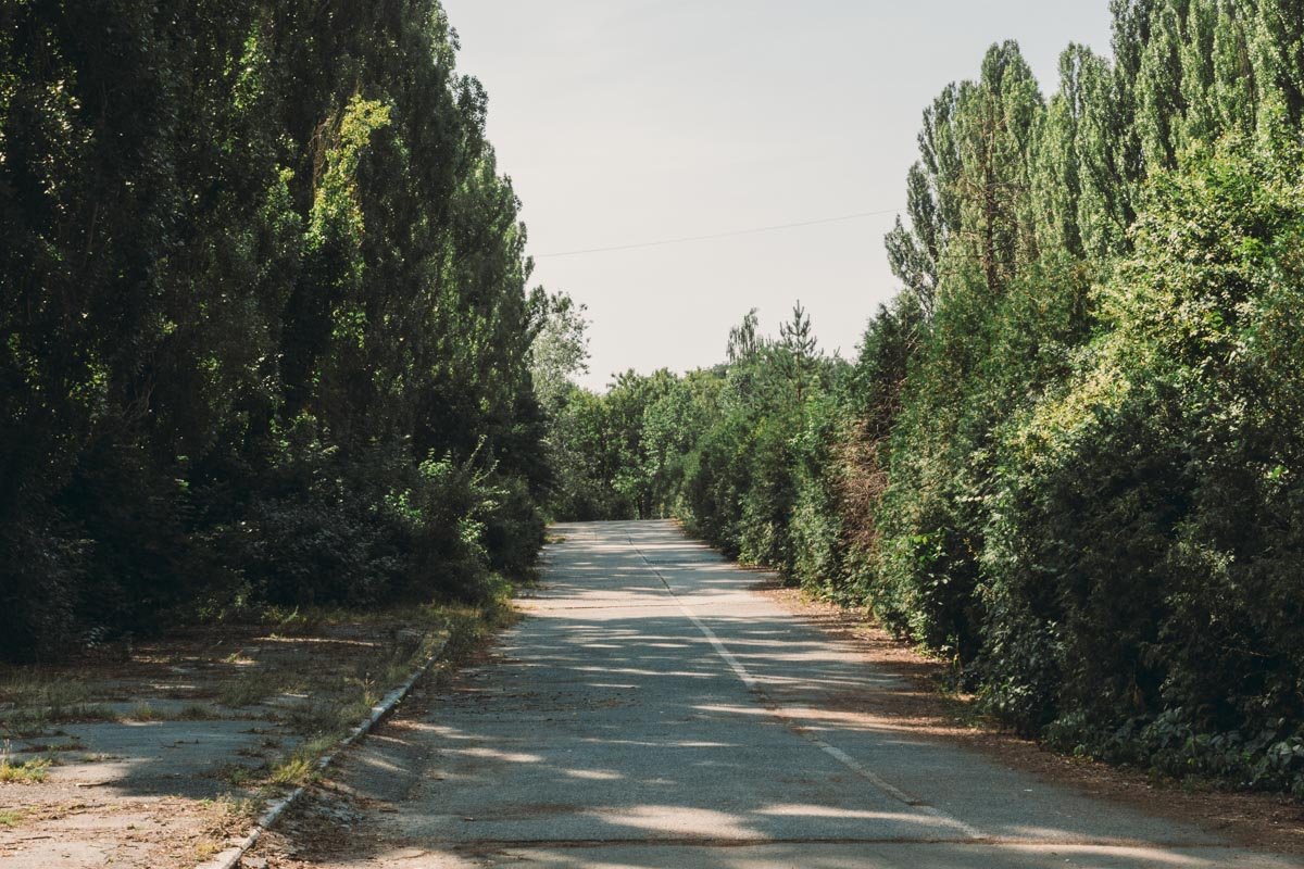 Каждая локация - зона для фотосессий 