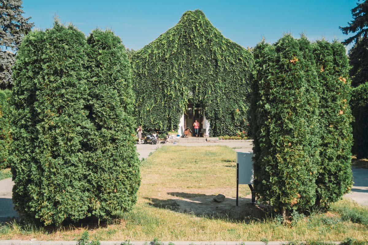 Зимний сад, сейчас там реконструкция. Вам тоже захотелось там сфотографироваться?
